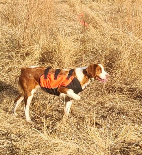 REBEL JACS MAGNOLIA MILLIE